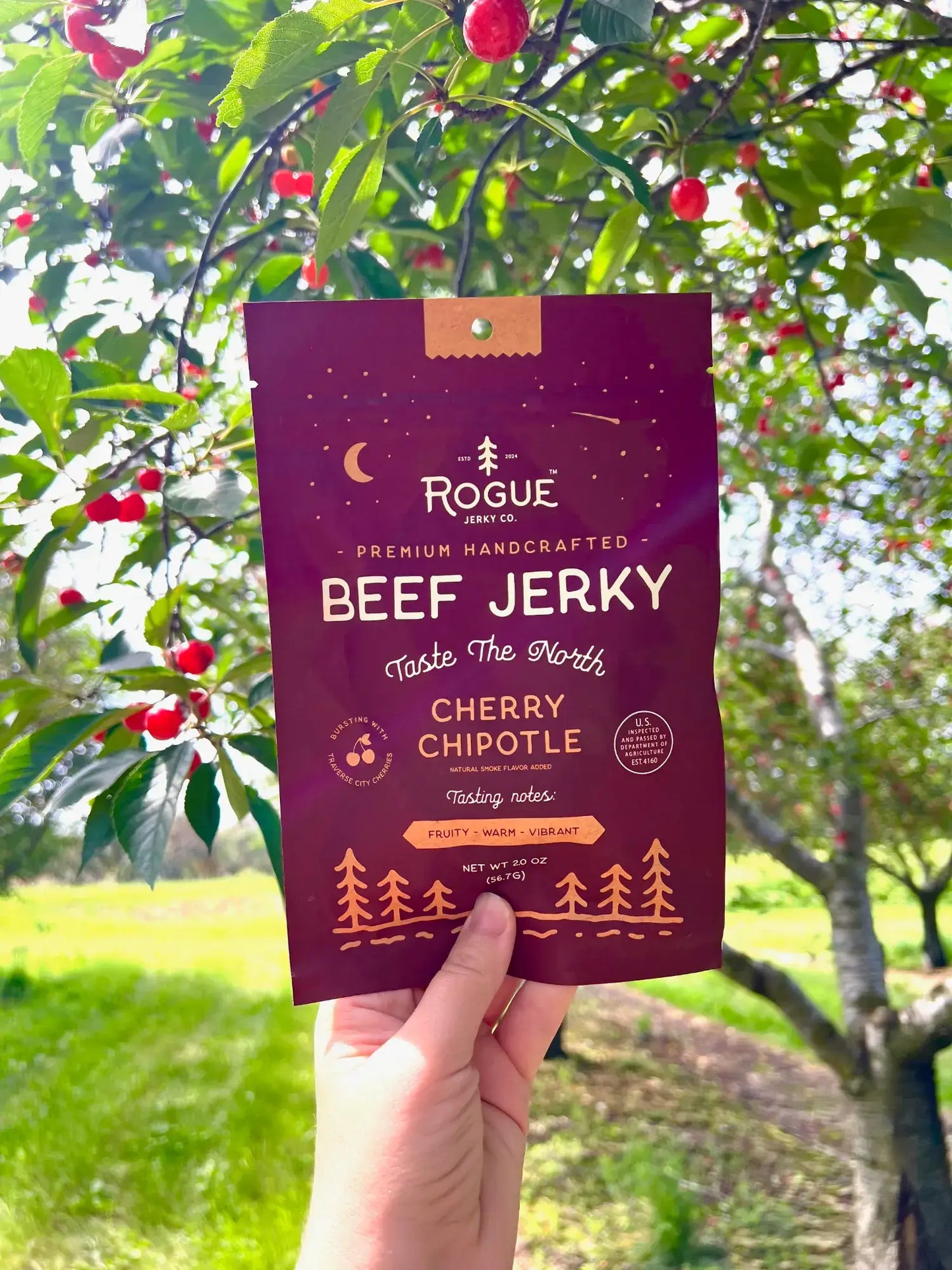 Rogue Jerky Premium Beef Jerky 2oz